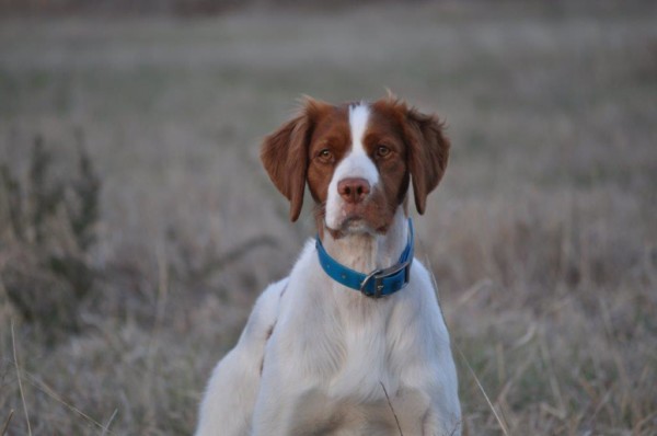 Mack-from-front