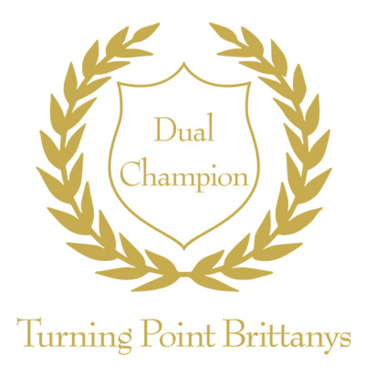TurningPoint-Laurels