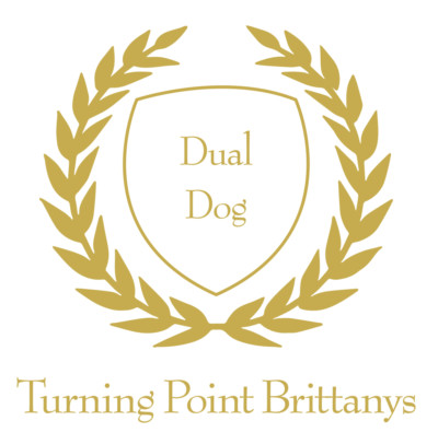 TurningPoint-Laurels