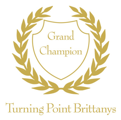 TurningPoint-Laurels