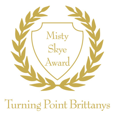 TurningPoint-Laurels