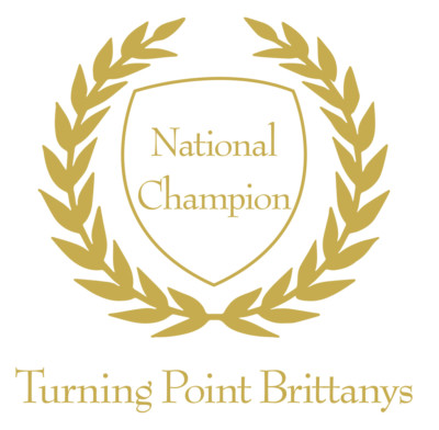 TurningPoint-Laurels