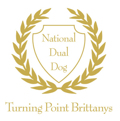 TurningPoint-Laurels