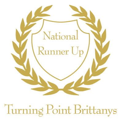 TurningPoint-Laurels