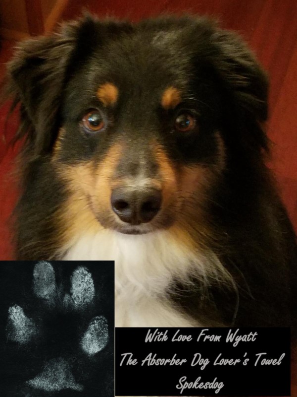 Wyatt Pawtograph Photo 2